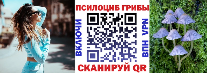 Псилоцибиновые грибы Psilocybe  Крымск 