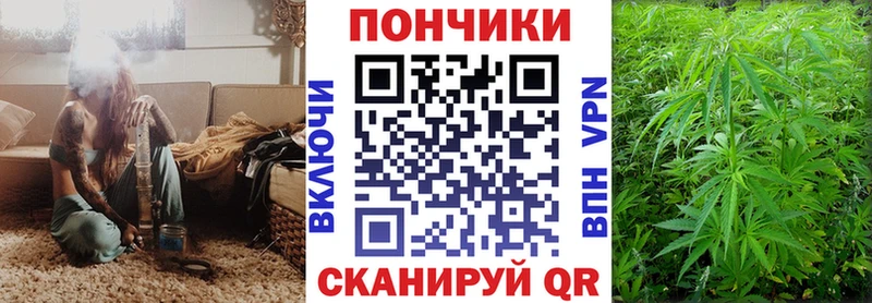 цены   Крымск  Каннабис OG Kush 